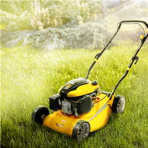Máquina a gasolina para cortar grama, 20", 6,5 hp, MGV 206, VONDER